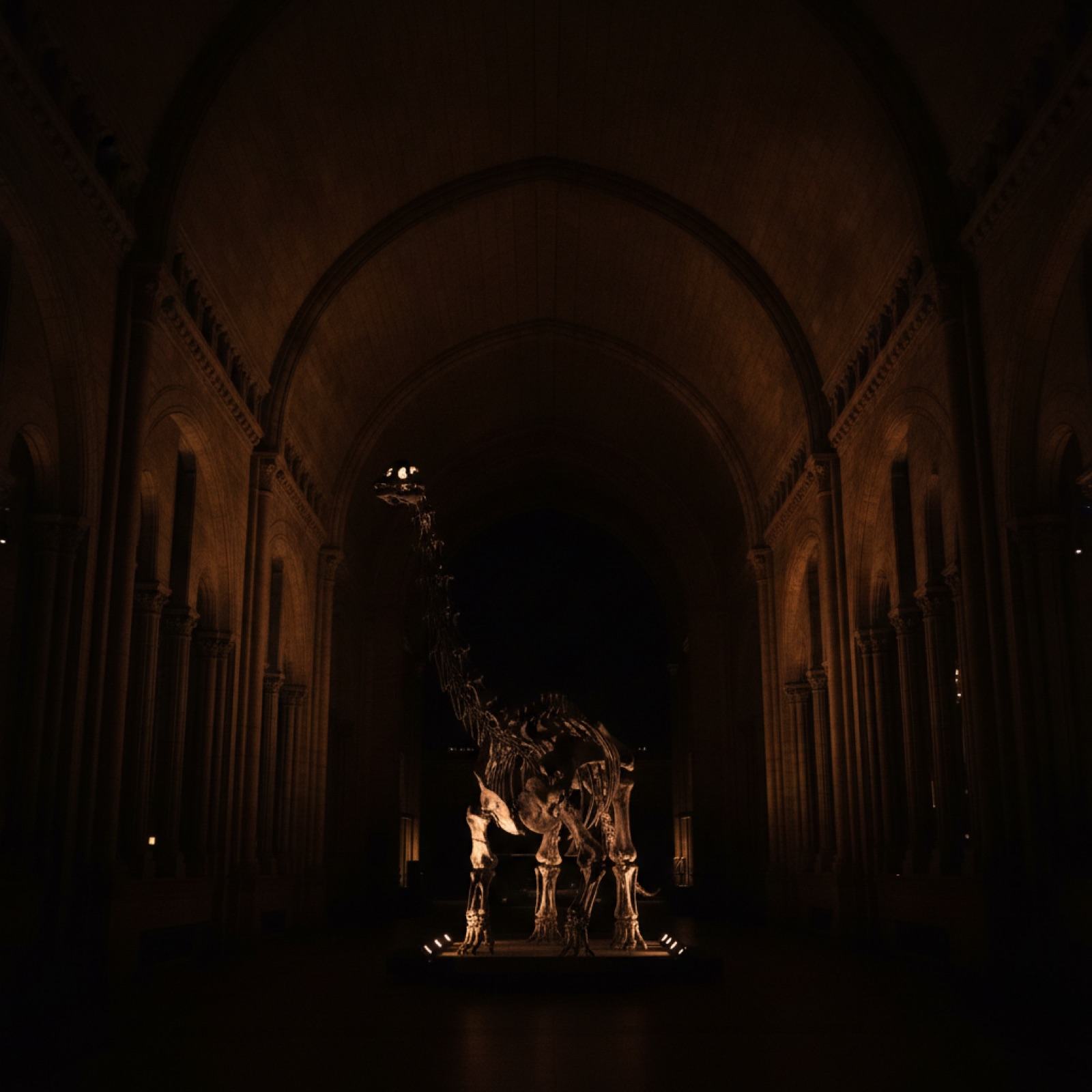 Dinosaur hall